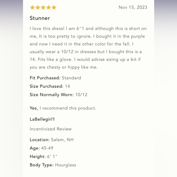 Anthropologie NWT MAEVE MOCK-NECK SHIFT MINI DRESS size 16P. - Picture 10 of 16